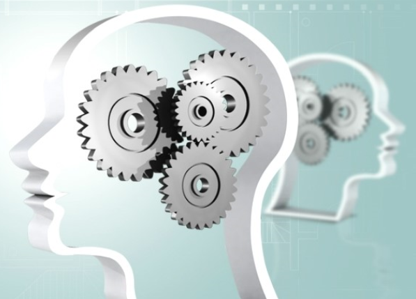 IQ와 생각의 관계 3 : 지능의 평가 알아보세요