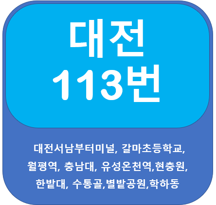 대전 113번 버스 노선정보(충남대,현충원,한밭대)