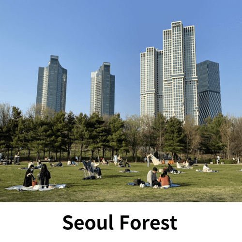 Seoul Forest and Seongsu-dong, hot places for young people in Seoul