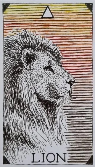 [오라클카드배우기] The wild unknown animal spirit 와일드 언노운 애니멀 스피릿 Lion 사자 해석 및 의미