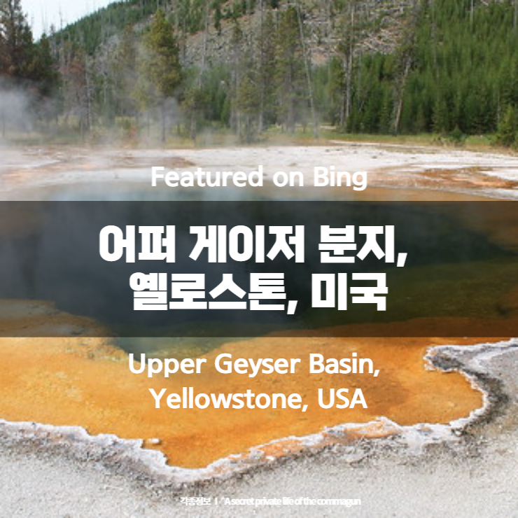 Featured on Bing - 어퍼 게이저 분지, 옐로스톤, 미국 Upper Geyser Basin, Yellowstone, USA