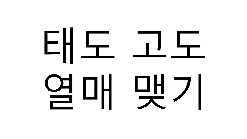 태도 고도, 열매 맺기의 리더십