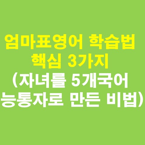 엄마표영어 학습법 핵심 3가지(자녀를 5개국어 능통자로 만든 비법)