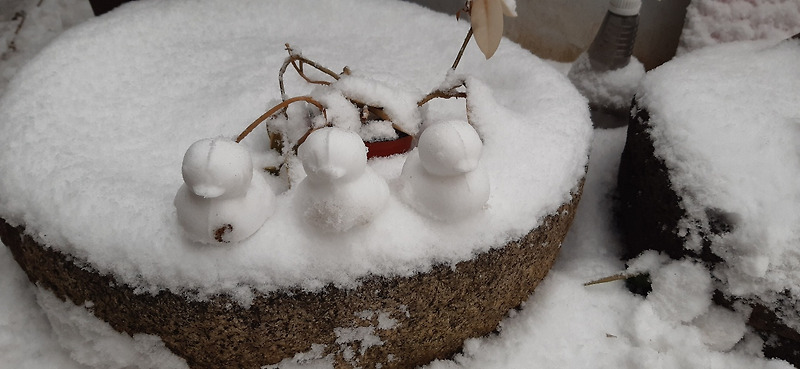 [겨울풍경] 눈오는 날 동심으로 만든 귀여운 눈병아리들!