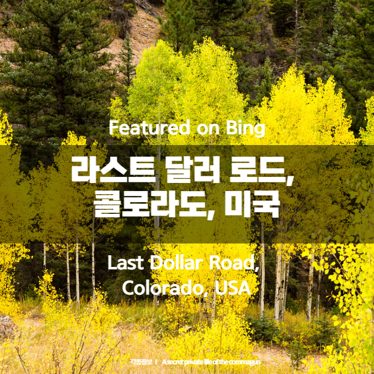 Featured on Bing - 라스트 달러 로드, 콜로라도, 미국 Last Dollar Road, Colorado, USA