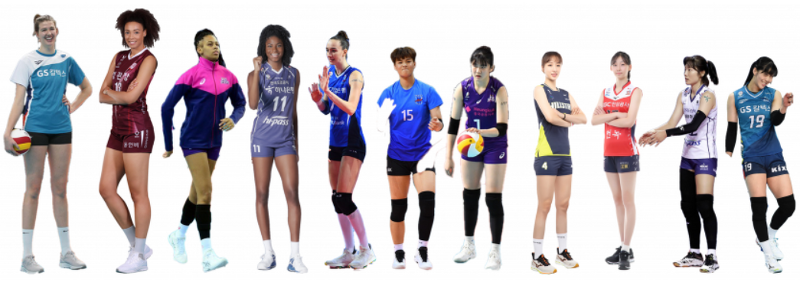 2020-2021 시즌 여자배구 포지션별 신장(키) 비교