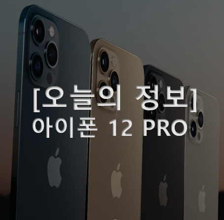 드디어 아이폰8 +에서 아이폰12 pro 그래파이트!!(사이즈,구성품)