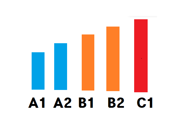 A1, A2, B1, B2, C1 각 레벨마다 독일어 시험 봐야 할까요??