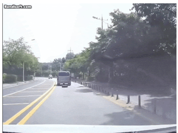스타렉스가 도로 위에서 출산하는 장면 영상 '스페어타이어 달리다가 떨어져'