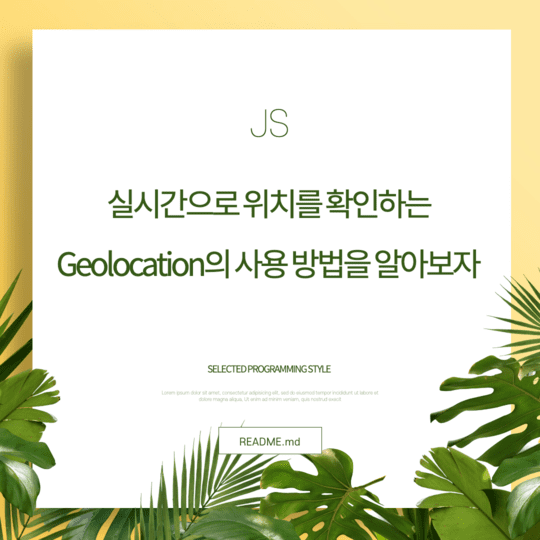 Javascript - 실시간으로 위치를 확인하는 Geolocation의 사용 방법을 알아보자