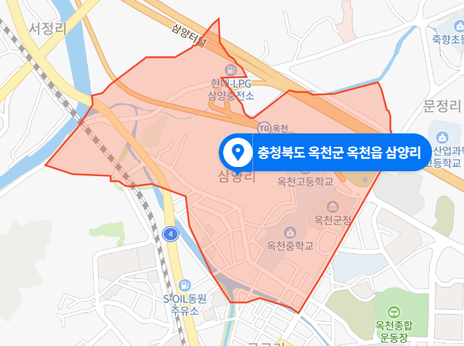 충북 옥천군 옥천읍 삼양리 실종 사망사건 (2020년 12월 10일)