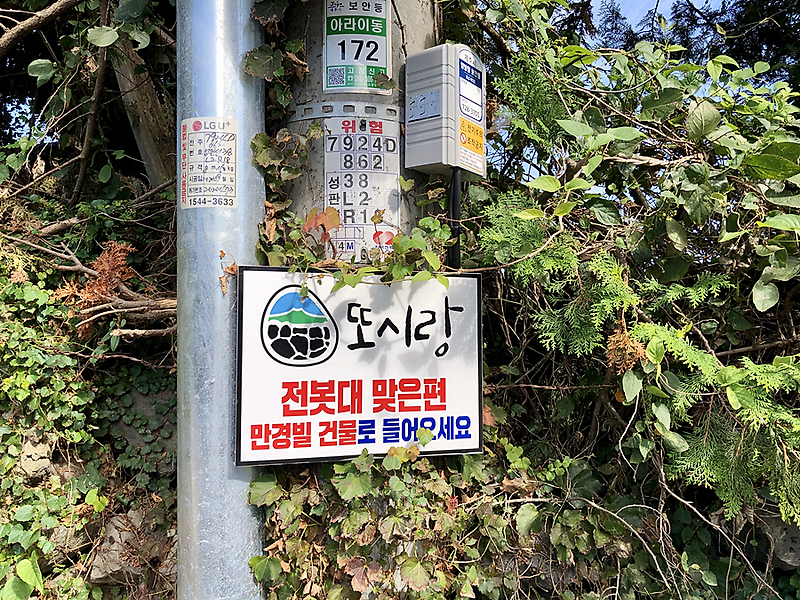 편스토랑출시메뉴 제주김밥 수제도시락 『 제주 또시랑 』