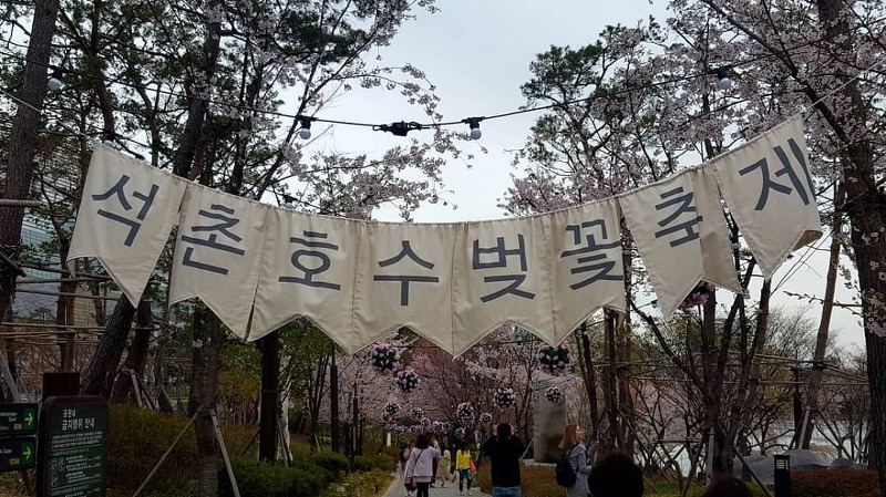 석촌호수 벚꽃축제 2019 여행기 (2020년 석촌호수 벚꽃축제 취소 소식)