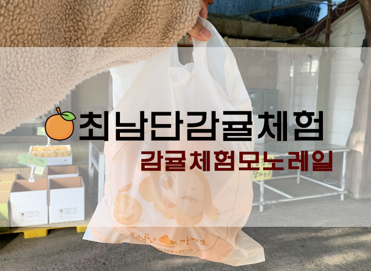 서귀포 감귤체험+모노레일 최남단감귤체험농장 리뷰