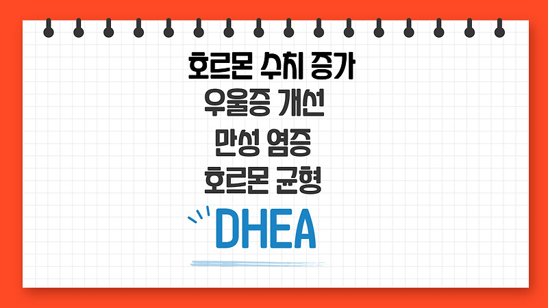 만성 염증과 호르몬균형을 위한 DHEA 영양제 추천(feat. 프레그네놀론)
