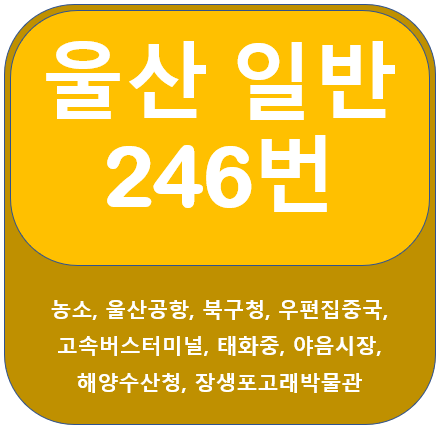 울산 246번 버스 노선정보 (울산공항, 고속버스터미널,야음시장)