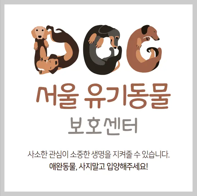서울 유기동물보호센터 강아지 고양이 동물 보호소 29곳