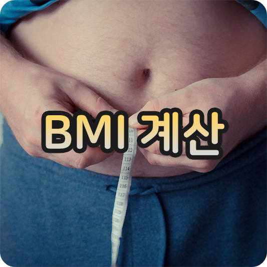 간단하게 내 비만도를 알아보는 BMI 계산하기
