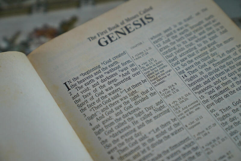 창세기 34장 - Genesis 34 : 1~31