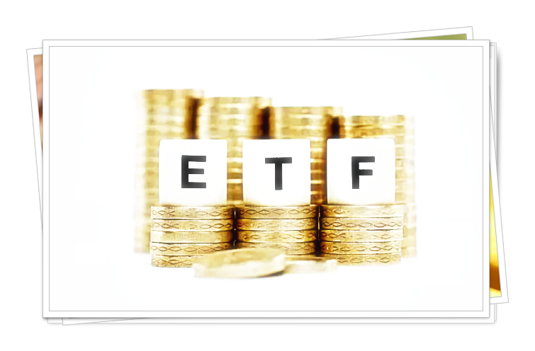 신흥 시장 상장지수펀드(ETF) 상위5종목 분석