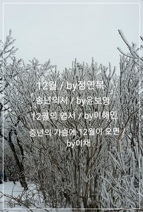 좋은시/12월 by정연복/중년의 가슴에 12월이 오면 by이채/12월의 엽서 by이해인/송년의 시 by윤보영