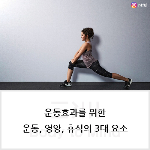 운동효과(exercise effect)를 위한 운동(training), 영양(nutrition), 휴식(rest)의 3대 요소