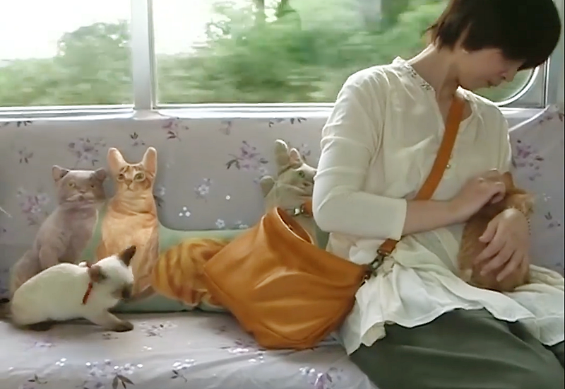 [영상] 일본의 세계 최초 고양이 기차