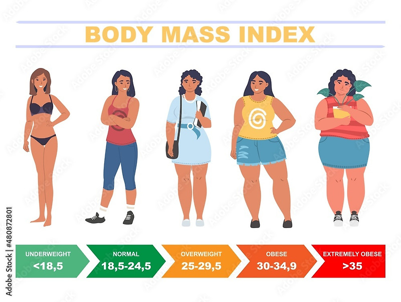 BMI 체질량지수는 정확한 건강 척도인가요?