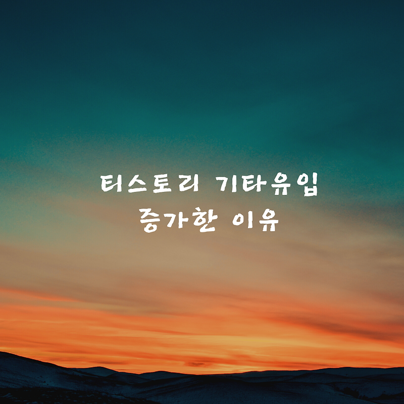 티스토리 기타유입 증가한 이유