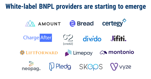 12가지 기술 전망_BNPL(Buy Now Pay Later)