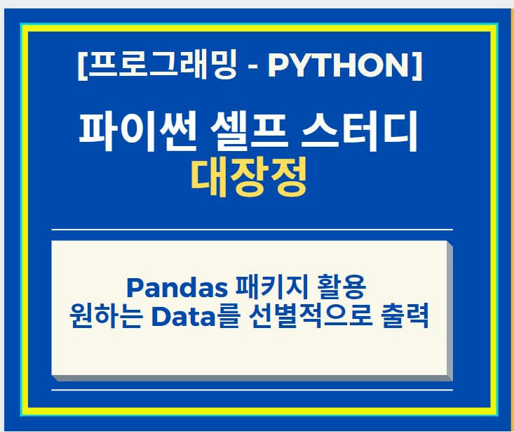 Python Panda DataFrame 에서 선별적으로 Data 출력하기