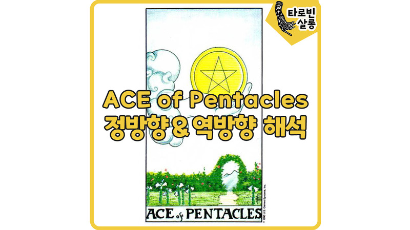 [웨이트 카드 해석] Ace of Pentacles 에이스 펜타클 타로 카드 정방향  & 역방향 해석