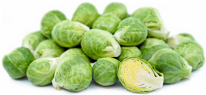 방울다다기양배추 Brussels Sprout 에 대해서 알아볼게요.