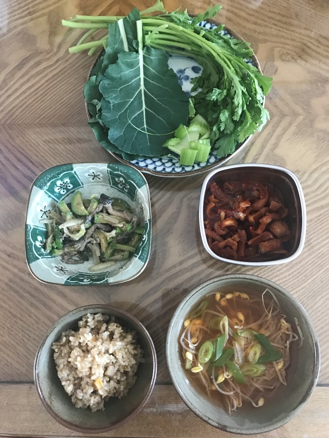 (채식 식단) 아삭한 콩나물국& 김치 콩나물국