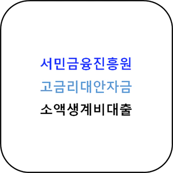 서민금융진흥원 - 고금리대안자금, 소액생계비대출