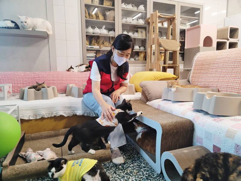 둥글개봉사단, 동물권시민연대 '레이'에 고양이 사료 1톤 기부