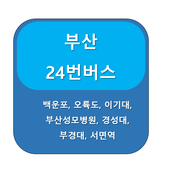 부산 24번 버스 노선 정보, 용호동 백운포 ↔  서면역