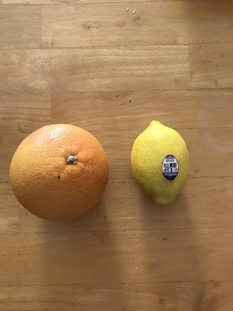 오키농산 오렌지, 썬키스트 펜시 레몬 으로 시고 달달하게 한입