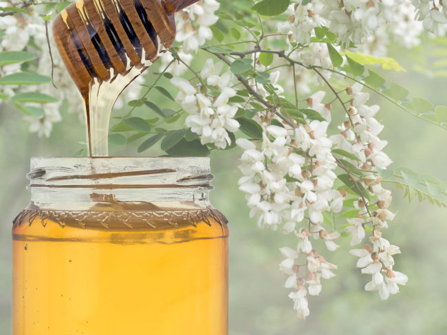 매일 한 숟가락씩 꿀을 먹어보세요 그럼 이렇게 변할거에요. | 매일 꿀 먹으면 나타나는 꿀의 효능 7가지(건강정보)