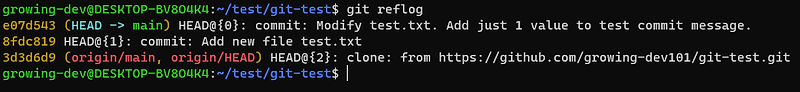 [Git] 안심하고 commit하자 reflog