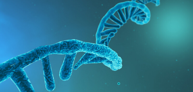 mRNA관련주 8종목