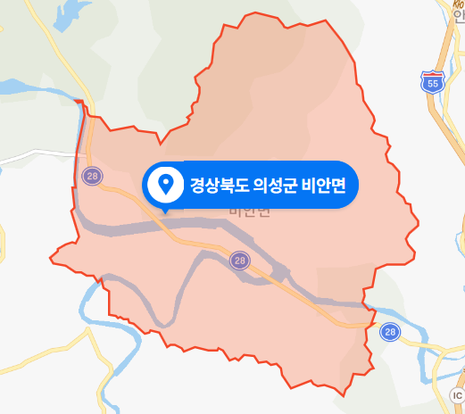 경북 의성군 비안면 위천강 캠핑장 음주운전 차량사고 (2020년 11월 29일)
