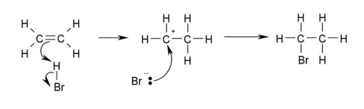[유기화학] 4장 알켄(Alkene): 친전자성 첨가 반응과 마르코프니코프 규칙