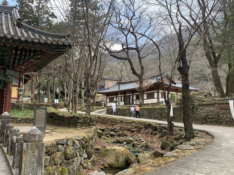 하동 가볼만한 곳, 산책하기 좋은 고즈넉한 사찰 <쌍계사>