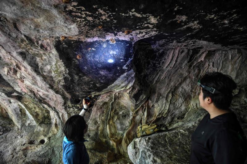 동굴 침입자, 태국의 고고학자들이 고대의 미술벽화를 사냥하다.
