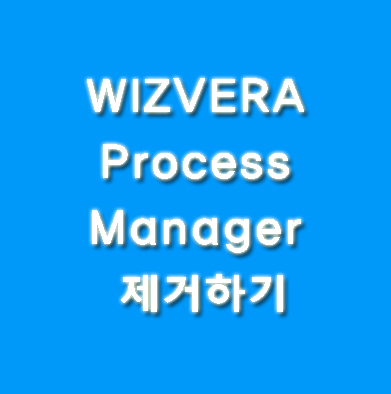 WIZVERA process Manager, 무슨 프로그램? 간단하게 지워보기