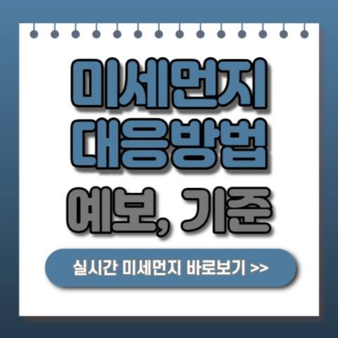 미세먼지 질환 예보 농도기준 마스크 대응법 안내