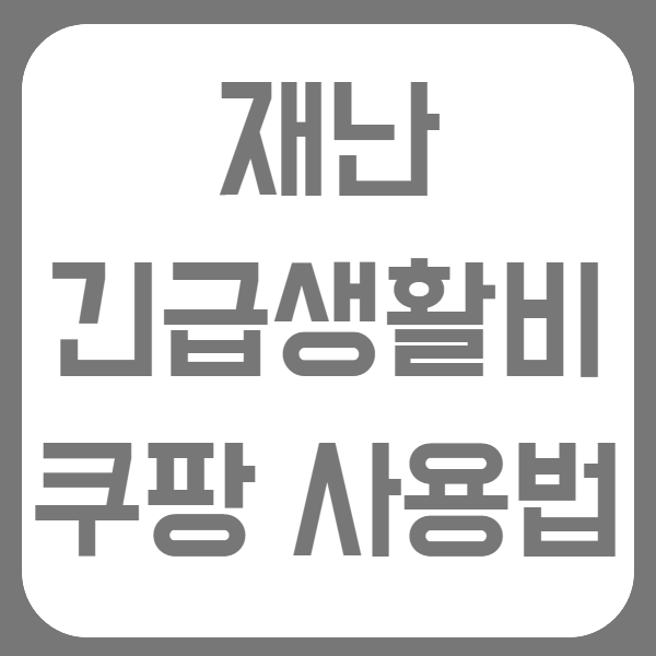 재난긴급생활비 소비쿠폰 쿠팡 사용법 공유 (서울시 긴급재난생활비)