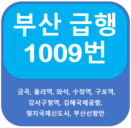 부산 1009번 버스 노선 안내(금곡,김해공항,선창마을)