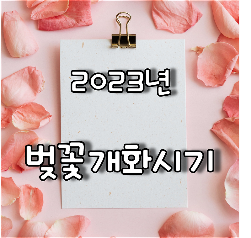 봄의 향연 2023 벚꽃 개화시기 및 전국 벚꽃 여행 및 축제